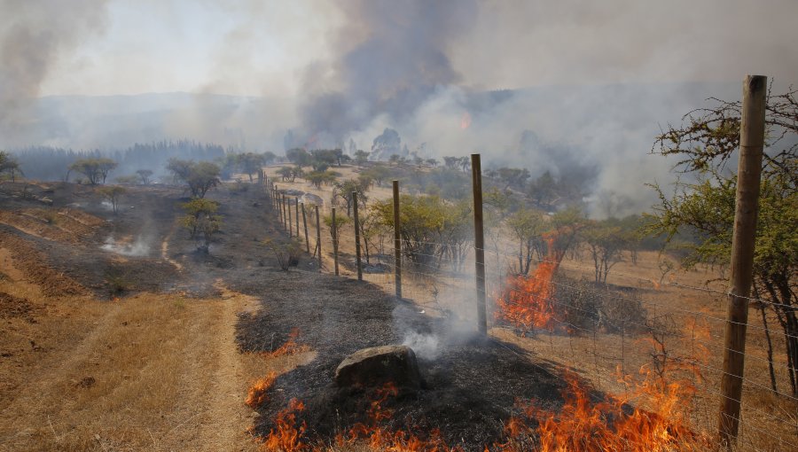 Un hombre fue detenido por iniciar fuego en Bulnes: reconoció el hecho