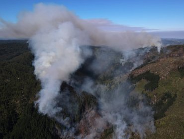 40 incendios forestales se mantienen en combate en la zona centro-sur del país: hay otros 30 en observación y 21 extinguidos