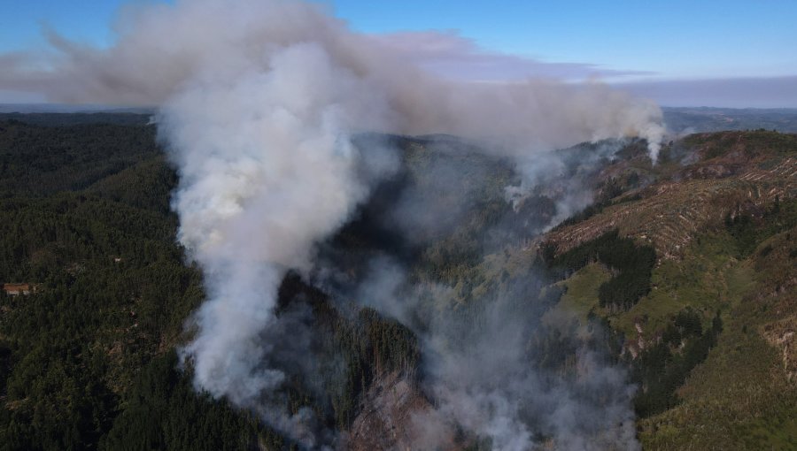 40 incendios forestales se mantienen en combate en la zona centro-sur del país: hay otros 30 en observación y 21 extinguidos