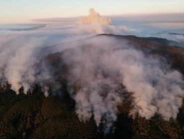 33 incendios forestales en combate, la cifra más baja desde el pasado 31 de enero