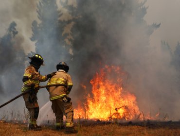 Incendio en Santa Ana se convierte en el segundo más grande de la historia reciente de Chile: se podría controlar el fin de semana