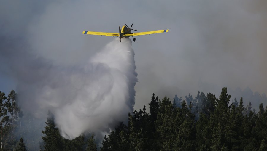 Incendios forestales en combate se reducen a 38 a nivel nacional: 24 permanecen en observación de equipos de emergencia