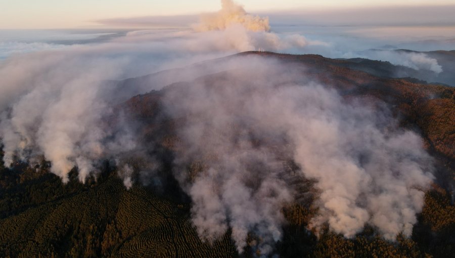 33 incendios forestales en combate, la cifra más baja desde el pasado 31 de enero