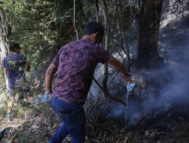 Balance incendios forestales: Hay 21 en combate y 157 han sido controlados