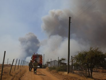 Pérdidas por incendios forestales superan los US$800 millones en Colliers