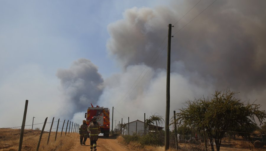 Pérdidas por incendios forestales superan los US$800 millones en Colliers