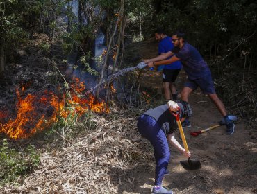 Incendios forestales: 23 siguen en combate y 154 ya fueron controlados