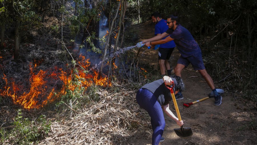 Incendios forestales: 23 siguen en combate y 154 ya fueron controlados