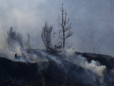 Declaran como "contenido" el incendio forestal Santa Ana en el Biobío: 18 siniestros se mantienen en combate a nivel nacional
