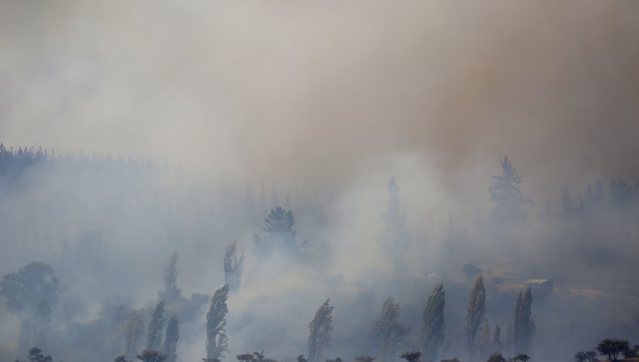 Corma entregó a Fiscal Nacional antecedentes sobre denuncias de empresas forestales ante posible intencionalidad en incendios