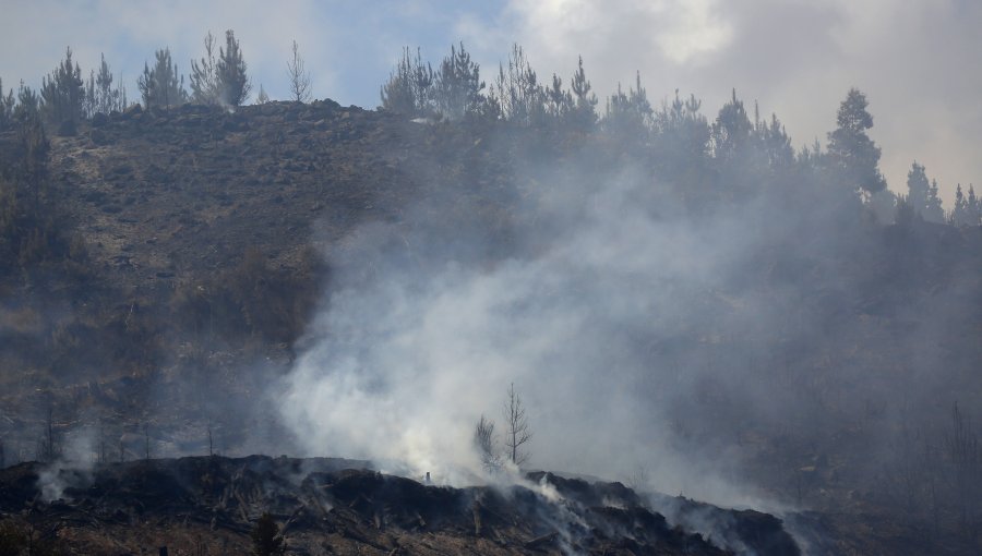 Aumenta a 26 la cifra de personas fallecidas a raíz de los incendios forestales en el país