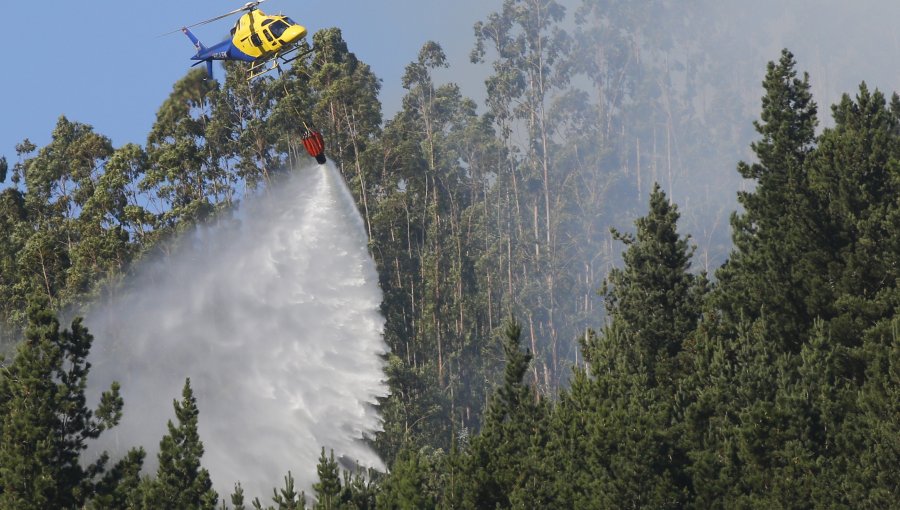 Conaf y Bomberos deberán indemnizar a familia de voluntario fallecido durante combate de incendios en Villarrica el 2019