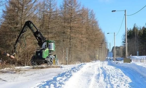 Finlandia comenzó a construir una valla en la frontera con Rusia para evitar la llegada de migrantes por la guerra en Ucrania