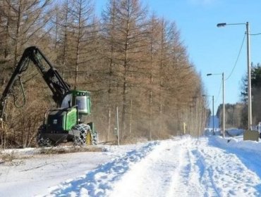 Finlandia comenzó a construir una valla en la frontera con Rusia para evitar la llegada de migrantes por la guerra en Ucrania