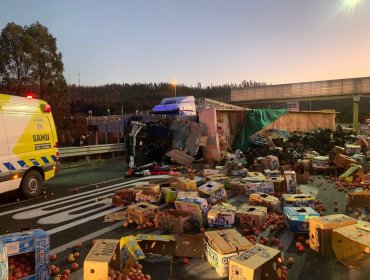 Volcamiento de un camión deja a dos heridos en Mulchén: uno de ellos se encuentra en riesgo vital