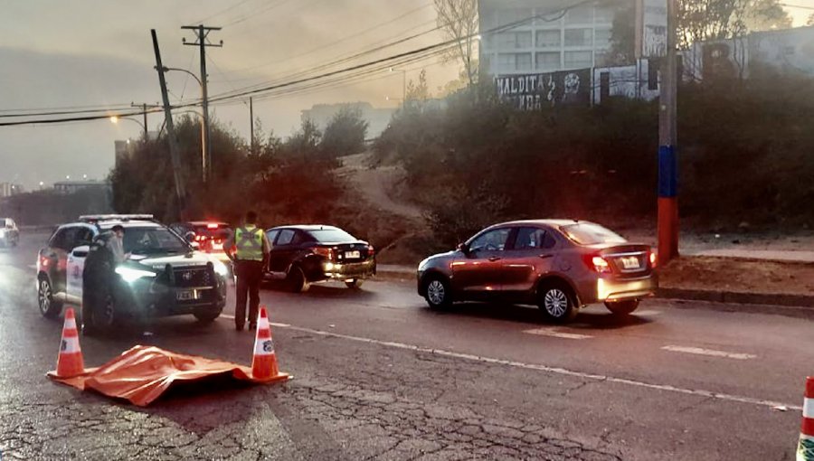 Hombre de 66 años perdió la vida tras ser atropellado por conductor que se dio a la fuga en la subida Agua Santa de Viña del Mar