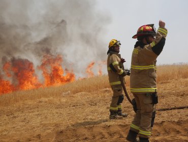 24 incendios forestales se mantienen combate en territorio nacional: la mitad de ellos se registran en La Araucanía