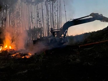 Cuatro maquinarias forestales resultaron quemadas en dos ataques incendiarios en San Juan de la Costa