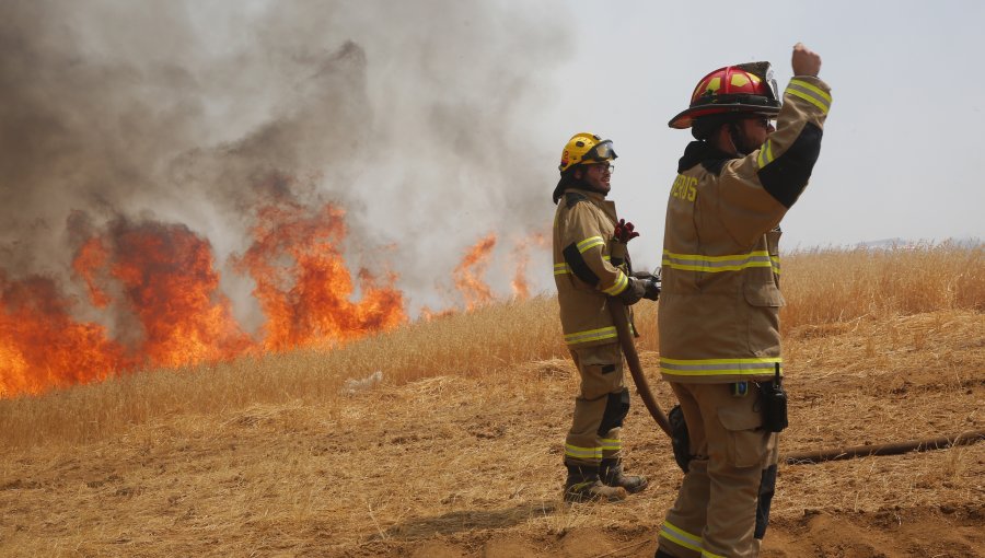 24 incendios forestales se mantienen combate en territorio nacional: la mitad de ellos se registran en La Araucanía