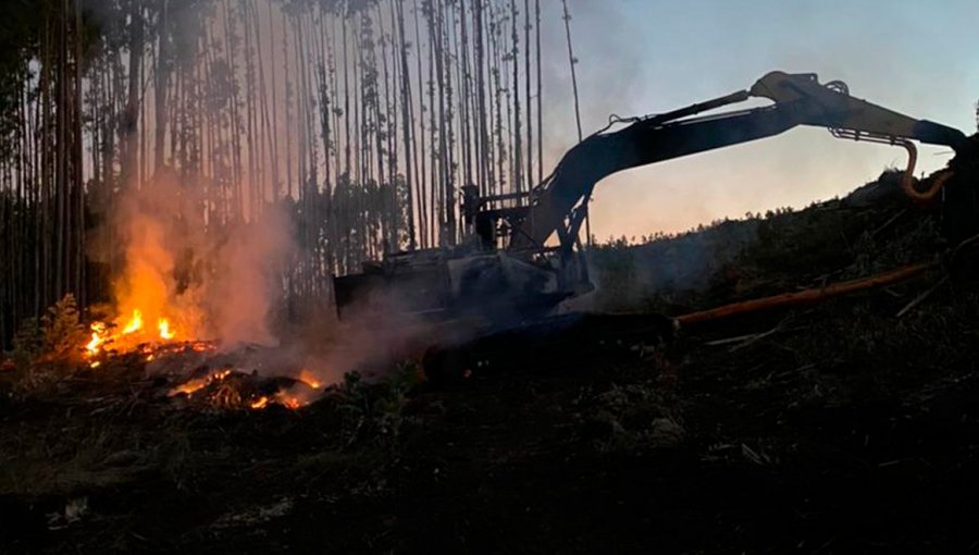 Cuatro maquinarias forestales resultaron quemadas en dos ataques incendiarios en San Juan de la Costa