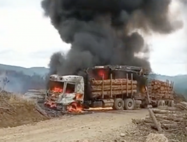 Nuevo ataque incendiario dejó un camión y dos máquinas forestales quemadas en La Araucanía