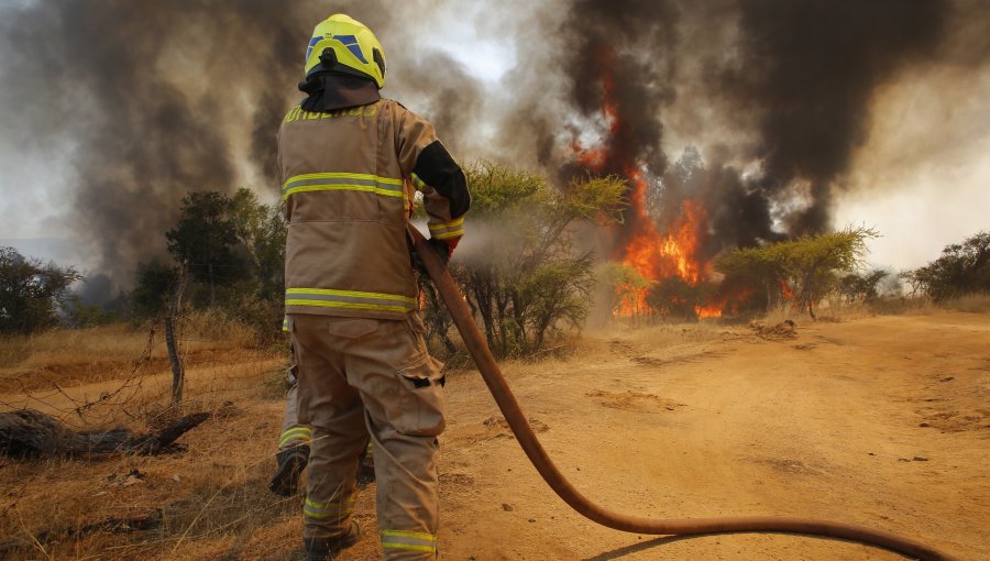 21 incendios forestales se mantienen en combate a lo largo del país: 10 focos afectan a La Araucanía