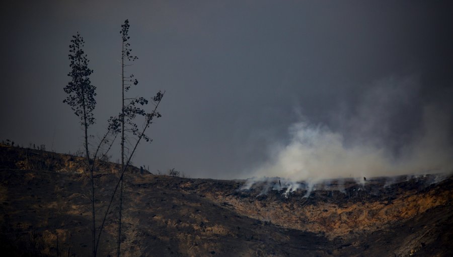 Gobierno extiende por otros 30 días el Estado de Catástrofe para las regiones del Ñuble, Biobío y La Araucanía