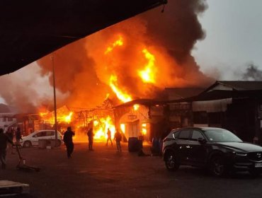 Brutal incendio afectó a feria mayorista de San Antonio: Bomberos evacuó a la población cercana