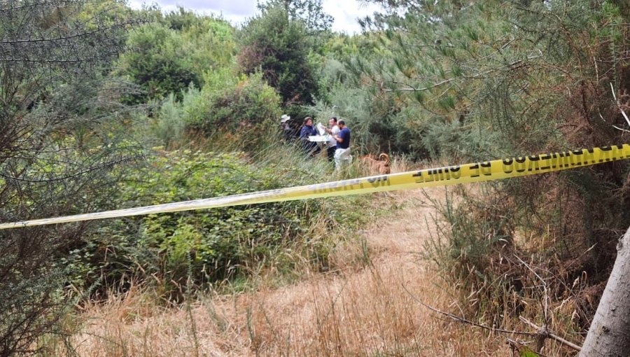 Encuentran dos cadáveres en bosque de Los Álamos: uno estaba semienterrado y con signos de haber sido quemado