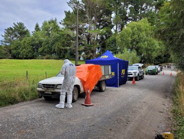 Macabro hallazgo en Puerto Octay: Hombre fue encontrado muerto con una herida cortopunzante al interior de una camioneta