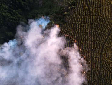 Estudio revela que las partículas de humo de los incendios forestales parecen erosionar la capa de ozono