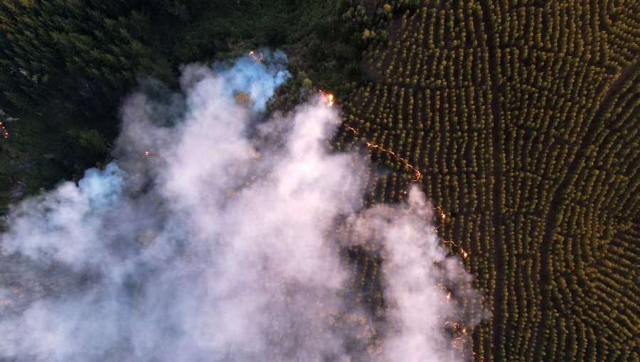 Estudio revela que las partículas de humo de los incendios forestales parecen erosionar la capa de ozono