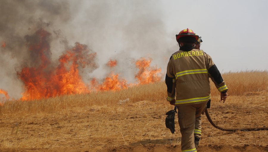 13 incendios forestales se mantienen en combate a lo largo del país: 9 de ellos se registran en la región del Biobío