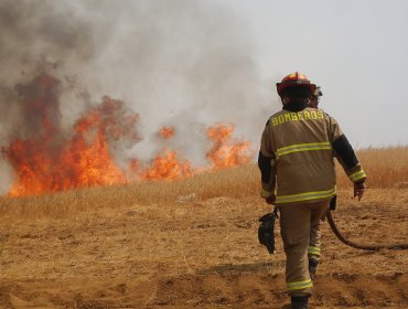 13 incendios forestales se mantienen en combate a lo largo del país: 9 de ellos se registran en la región del Biobío