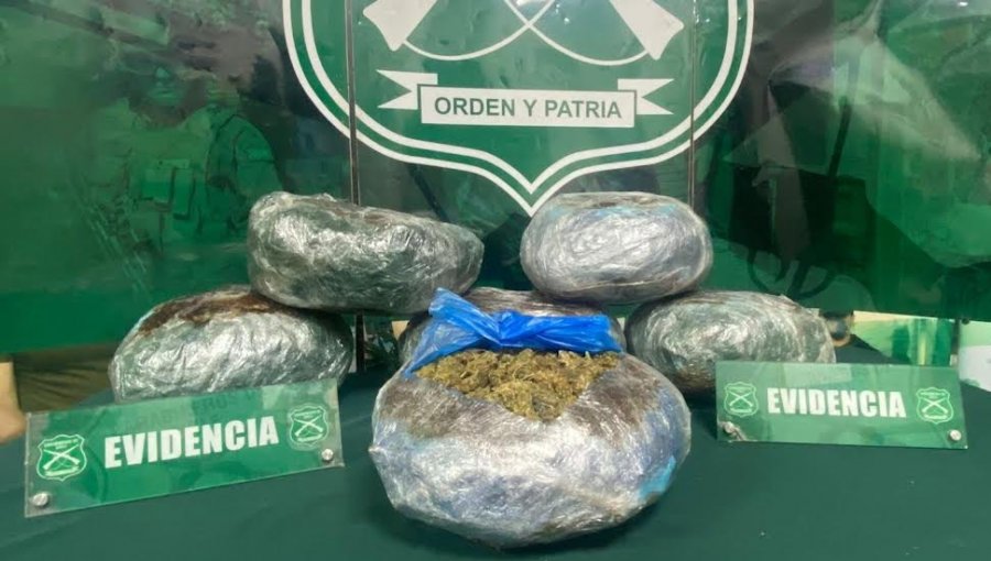 Control carretero en La Ligua permite incautar más de 12 mil dosis de marihuana elaborada: hay una persona detenida