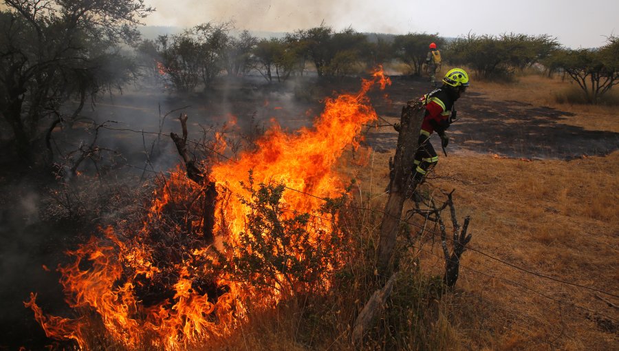 Incendio forestal activo en Los Sauces: El último de la región de La Araucanía