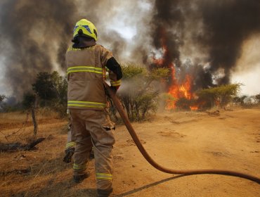 Seis incendios forestales se mantienen en combate en el país: todos en la región del Biobío