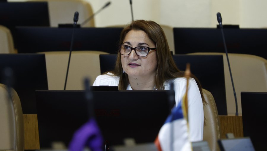 Diputada Delgado pide perdón y asume "impresentable error" por no estar presente en votación de reforma tributaria