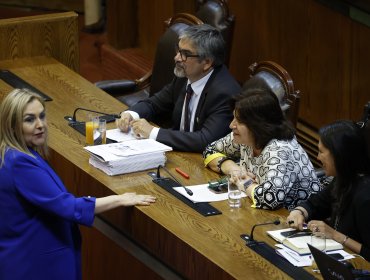 Ministra de la Segpres afirma que voto de diputada Jiles en la reforma tributaria fue "comprometido": "La consideramos de oposición"
