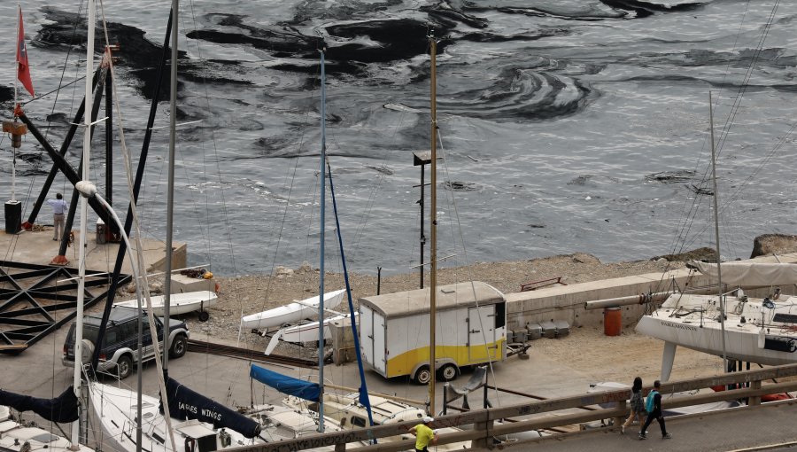 Anuncian querella por manchas oleosas en la bahía de Viña del Mar: Ripamonti plantea que "puede ser contaminación por hidrocarburos"