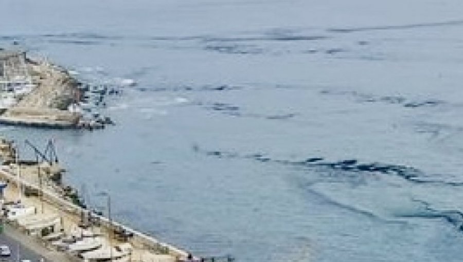 Preocupación generan manchas oleosas en la bahía de Viña del Mar: Gobernación Marítima dice que se trataría de hollín