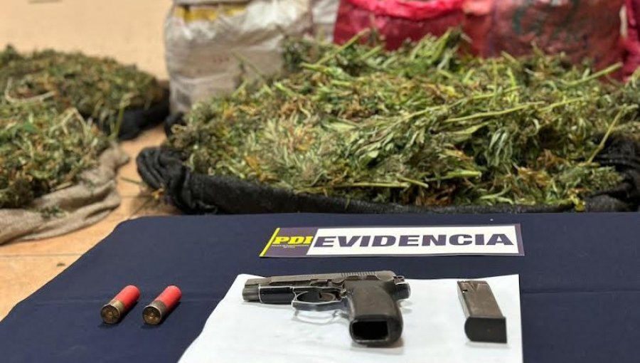 Incautan en Los Vilos 107 kilos de marihuana y una pistola con grabado de la policía de Argentina
