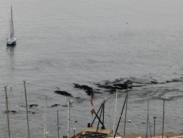 Pescadores presentan denuncia ante Fiscalía por gran mancha oleosa en la bahía de Valparaíso y Viña del Mar