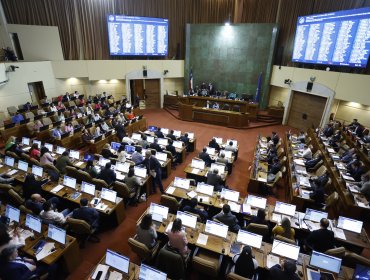 Cámara despacha a ley proyecto que duplica el Bono Marzo y crea el Bolsillo Familiar Electrónico