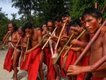 El gen que protege a los pueblos amazónicos de la enfermedad de Chagas y puede inspirar nuevos tratamientos contra la enfermedad