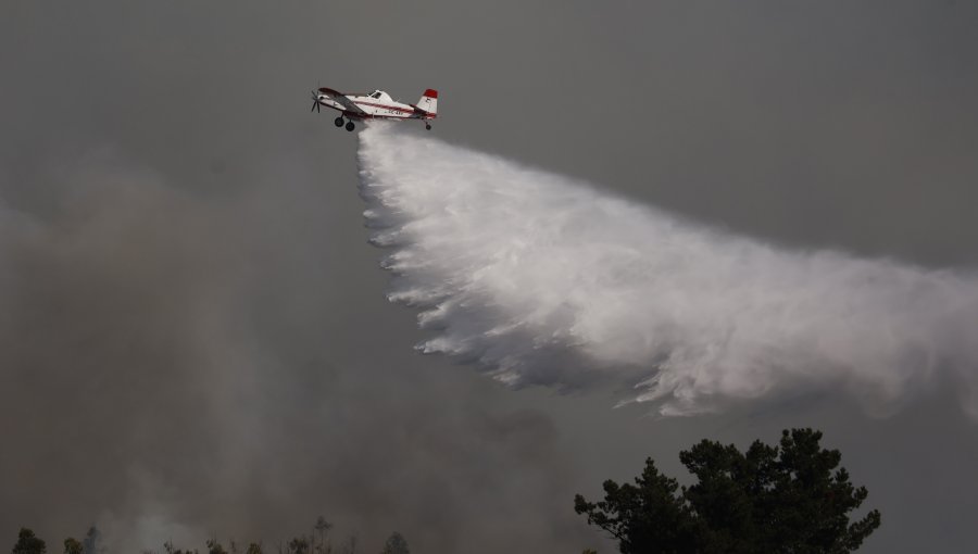 Presentan querella contra quienes resulten responsables del incendio forestal en el Tranque La Luz de Placilla en Valparaíso