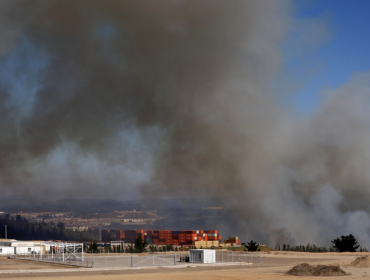 Alerta Roja en comuna de Valparaíso por incendios forestales en combate