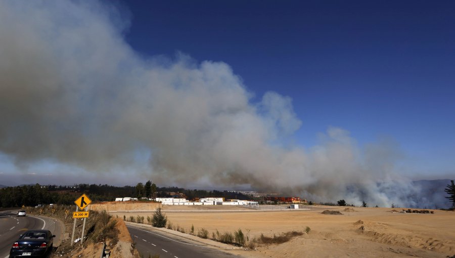 Declaran Alerta Roja para Valparaíso por incendio forestal en camino La Pólvora a la altura de cuesta Balmaceda