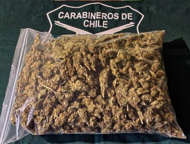 Detienen a hombre e incautan 1,4 kilos de marihuana en Valparaíso: se trasladaba en auto con placas patentes adulteradas