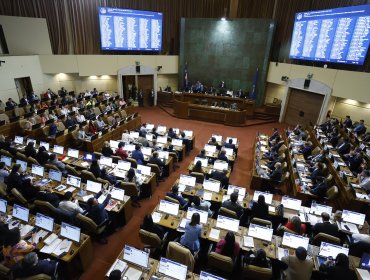 Cámara de Diputados aprueba en particular la Ley Nain-Retamal: proyecto continúa su trámite en el Senado